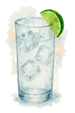 Gin and Tonic