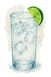 Gin and Tonic